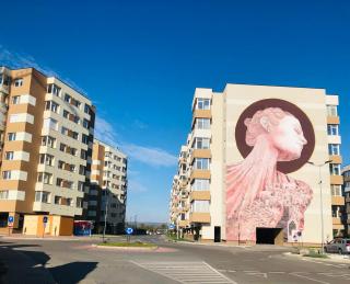 Home sweet home 2 - Bacău - 6