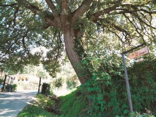 La Casa Dei Nonni - Montepulciano - 7
