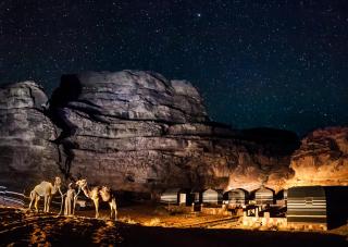 Wild of Wadi Rum - Wadi Rum - 9