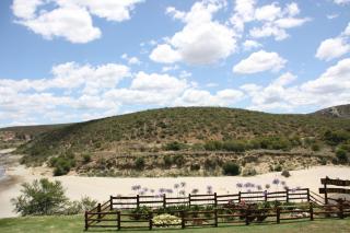 Gourits River Guest Farm - Albertinia - 1