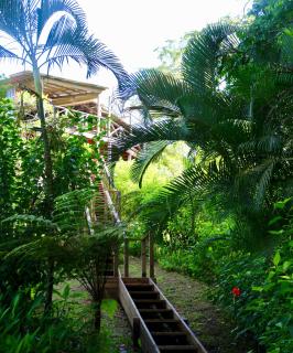 Eden Jungle Lodge - Bocas del Toro - 3