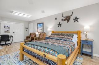 Relaxing Two-Bedroom Apartment or Studio on 13 Beautiful Wooded Acres In A Quiet Neighborhood - Tomball - 4