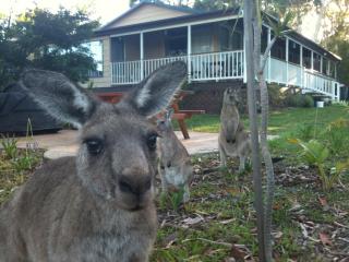 Bush & Bay Cottage - Erowal Bay - 0