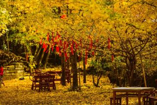 Banyan Tree Tengchong - 3