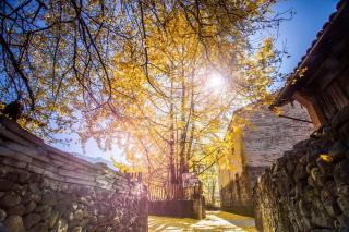 Banyan Tree Tengchong - 2