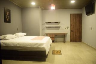 Hotel Tepuy - El Poblado - 7