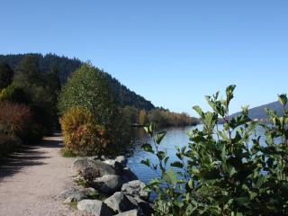 Gîte chaleureux avec terrasse privée à Gérardmer - FR-1-589-159 - 7