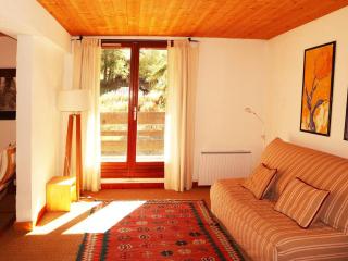 Grand appartement 3 pièces, 9 pers, emplacement calme, animaux admis - FR-1-322-498 - Les Orres - 0