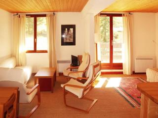 Grand appartement 3 pièces, 9 pers, emplacement calme, animaux admis - FR-1-322-498 - Les Orres - 8