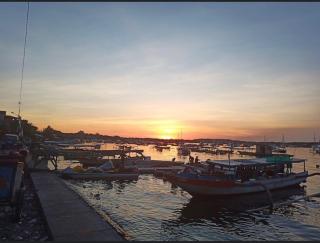 Turtle Island Homestay - Sanur - 9