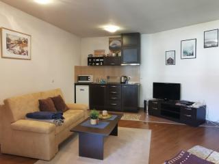 Sunny studio apartment - few steps from Gondola - Bansko - 7