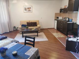 Sunny studio apartment - few steps from Gondola - Bansko - 8