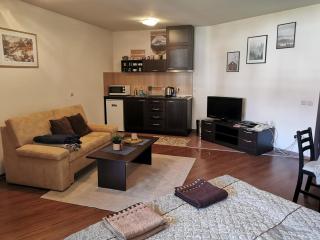 Sunny studio apartment - few steps from Gondola - Bansko - 4