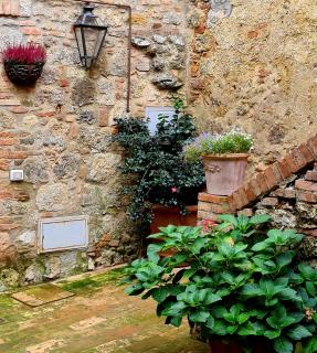 La Terrazza, historic Tuscan stone residence with garden and terrace in Cetona - Cetona - 1
