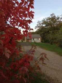 Le Chalet de Lilie - Bassignac - 9