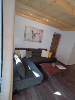 Hochalmbahnen Chalets Rauris 1-15 WE1, Maislaufeldweg 1o EG - Rauris - 2
