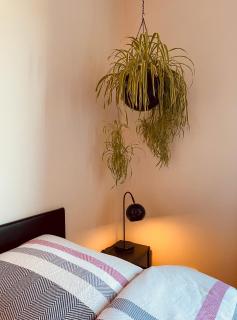 Pension Kirschberg - 5