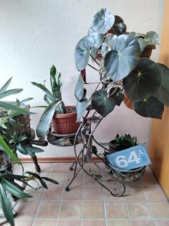 Fina Apartman - Leskovac - 3