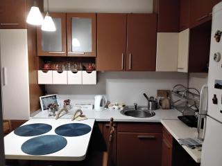 Fina Apartman - Leskovac - 1