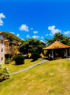 Le colibri - Sainte-Anne - 0