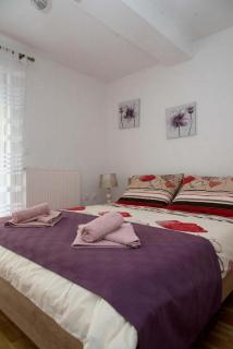 Apartmani Oaza - Daruvar - 2