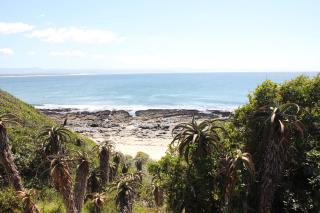 Shack on Supers - Jeffreys Bay - 3