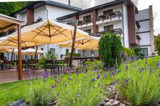 Piatra Pinului Ski & Spa - Gura Humorului - 3