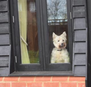 The Plough Inn - Stalisfield - 7