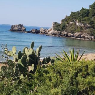 Corfu Dream Holidays Villas - Glyfada - 6