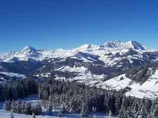 Charmant appart 4/5 pers au pied des pistes avec balcon, Wifi, parking, animaux OK - FR-1-505-65 - Notre-Dame-de-Bellecombe - 3