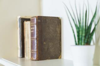 Corte Paolina - charming courtyard inside Lucca - 2