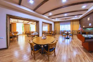 Vanadzor Armenia Health Resort & Hotel - Vanadzor - 1