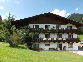 Haus Renate - Lermoos - 0