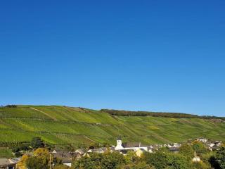 Mosel-Auszeit - Klüsserath - 5