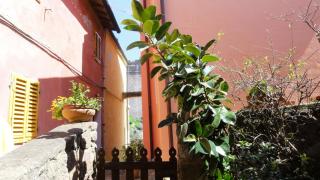 Terratetto Indipendente Capraia - 1