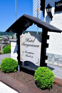 Hotel Bergwiesen - Zimmer mit Balkon oder Terasse - 4