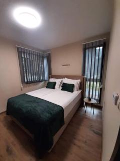 Вила Bora Vista 2 - 2