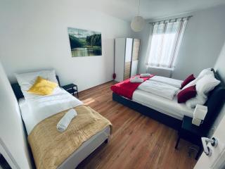 Black Forest Apartment - Baden-Baden - 4