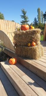 La cabane de l'étang - - 2
