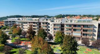 CANELAS CLASS ÁTICO Amplias Terrazas - 5