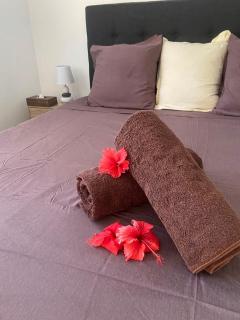Bora Bora Fare Sophia - 9