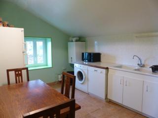 Maison de ferme rénovée, campagne, cheminée, étang privé, jardin, parking, internet - FR-1-489-177 - 6