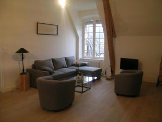 Spacieux gîte près d'un château avec parc, 4 chambres, 2 sdb, Wifi, et animaux acceptés. - FR-1-489-215 - Trévol - 9