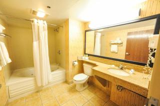 Holiday Inn Express Hotel & Suites Bowling Green by IHG - Bowling Green - 6