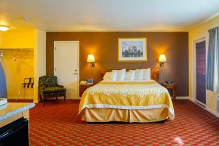 Comfort Inn near Hearst Castle - Cambria - 6