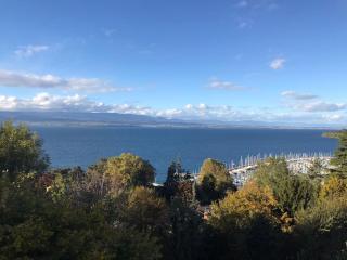 Le condo - Thonon-les-Bains - 1