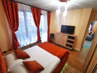 Sirius Confort Kalinderu - Buşteni - 4