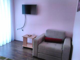 B&B Zmajevo Gnezdo 021 - Sremska Kamenica - 1