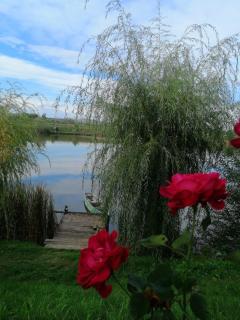 COMPLEX AGREMENT BELLAVI - 9