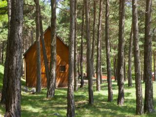 Camping Fontfreda - Castellar del Riu - 1